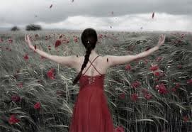 debito gratitudine