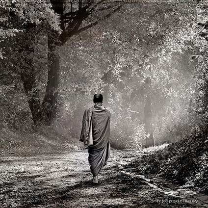 sviluppo