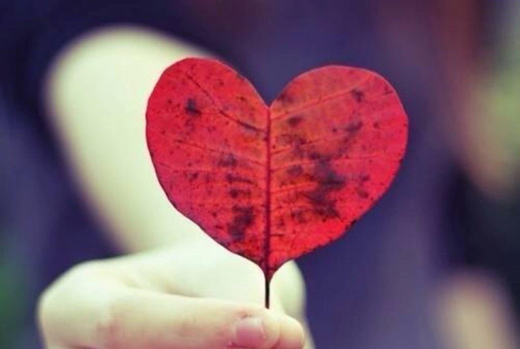 I 7 ingredienti per vivere in due - profilo-emozionale