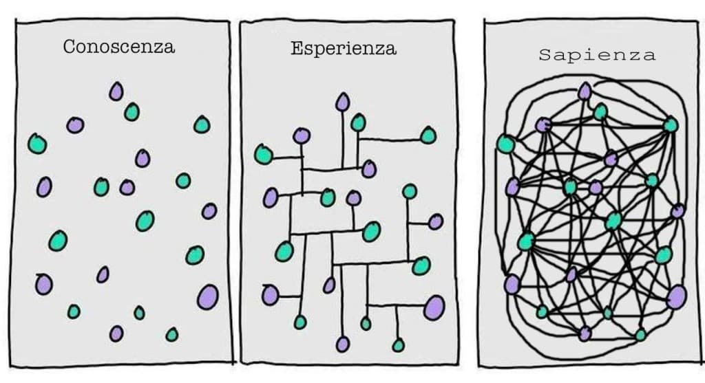 conoscenza-esperienza-sapienza