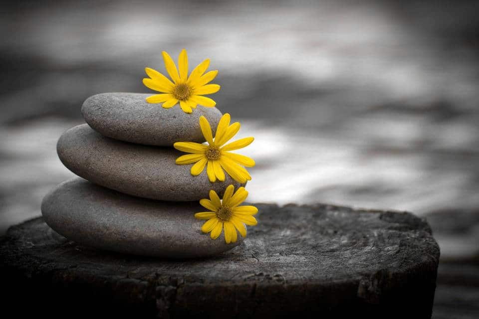 Contemplare