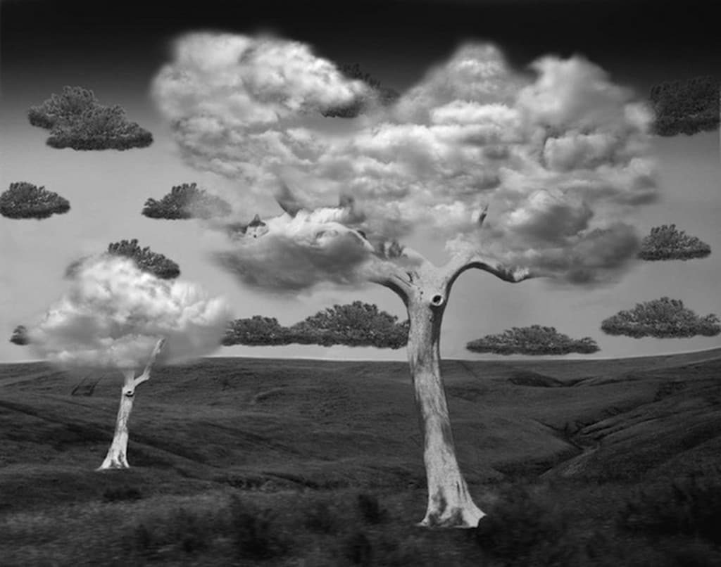 VISIONI SOGNI - E-Modeling