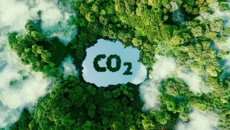 co2 ansia ambientale