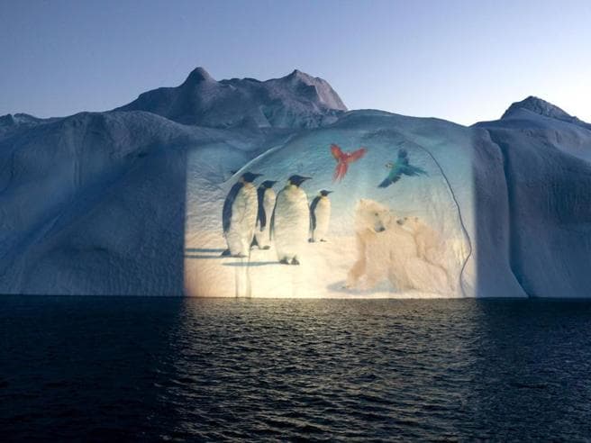 animali glaciali proiettati su iceberg