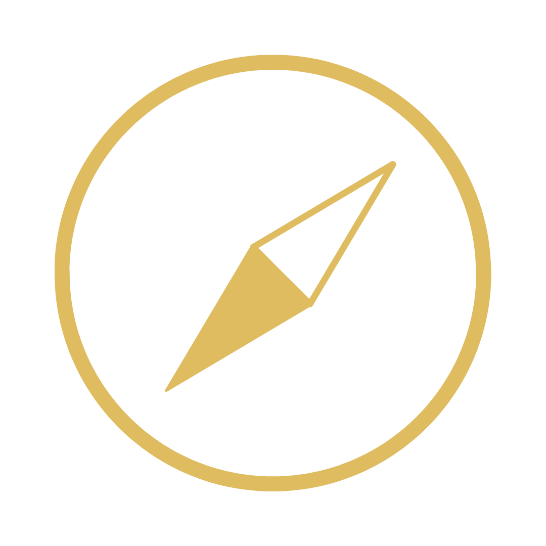 Bussola pin
